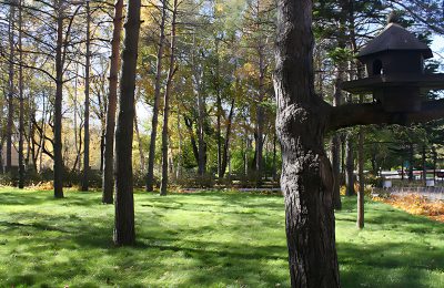 Санаторий Строитель фото 3