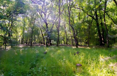Санаторий Долина Нарзанов г. Железноводск фото 5