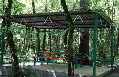 Санаторий Долина Нарзанов г. Железноводск фото 6
