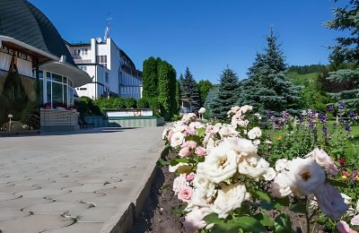 Санаторий Вилла Арнест фото 4