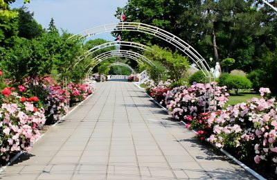 Санаторий Голубая Даль фото 7