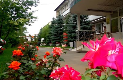 Санаторий Рябинушка фото 4