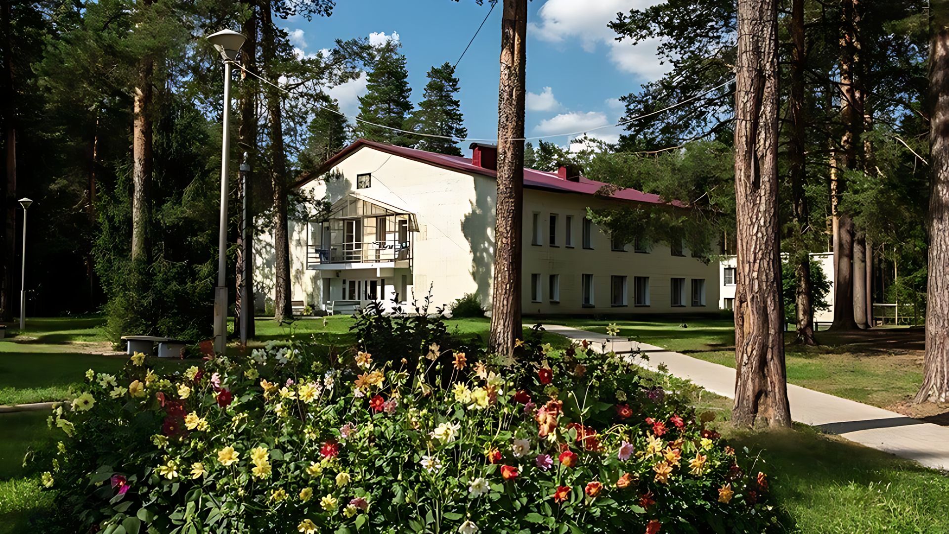 Главное фото Санаторий Сосновый бор