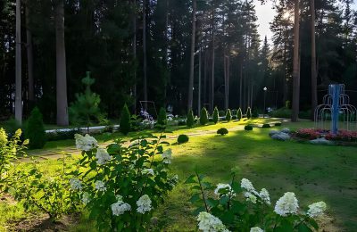 Санаторий Сосновый бор фото 4
