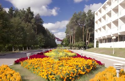 Санаторий Озеро Белое фото 3