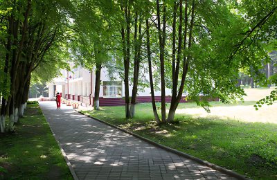 Санаторий Кедровый бор фото 8